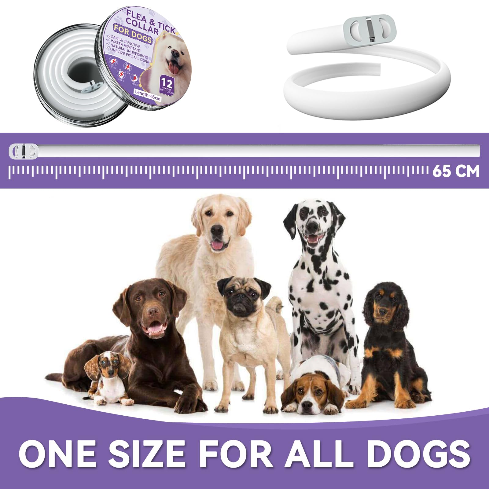 Collare Antipulci Per Cani - Protezione 12 Mesi | Naturale, Impermeabile E Regolabile - Foto 4