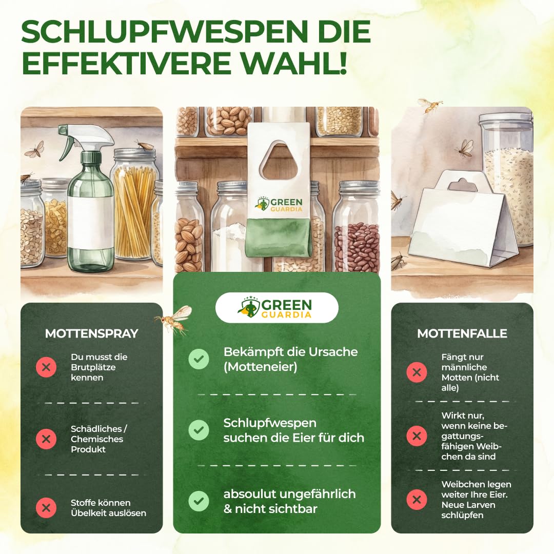 GREEN GUARDIA Schlupfwespen gegen Lebensmittelmotten - 5 Karten à 1 Lieferung - Effektiv & unweltfreundlich Lebensmittel Motten bekämpfen - Alternative zur Mottenfalle, Mottenspray, Pheromonfalle