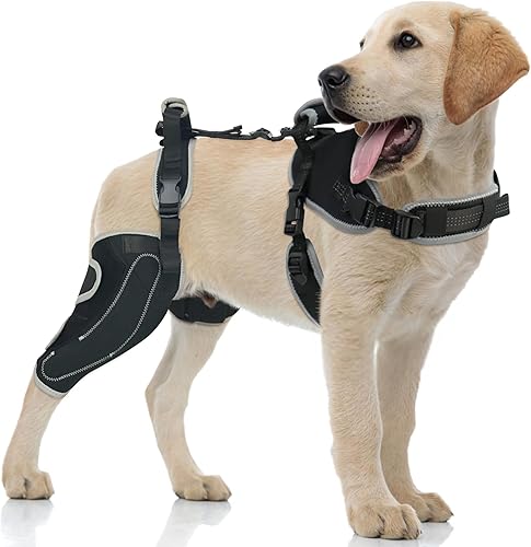 Miniatura 30 de Rodillera para perro para pierna trasera desgarrada ACL/CCL, soporte ajustable con suficiente envoltura y soporte y rótula luxante, soporte