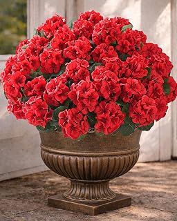 Artificial Flowers for Outdoors – 12 Bundles of UV-Resistant Artificial Geraniums, Realistic Silk Flowers for Front Porch, Patio, Garden, Window Boxes & Hanging Baskets (Red, 12)