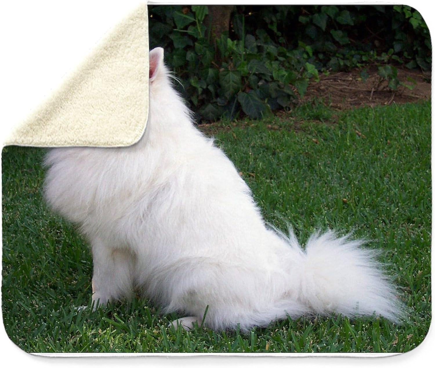 CafePress American Eskimo Full Sherpa Fleece Throw Blanket 60" L x 50" W