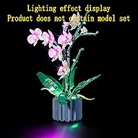 Vista 5 de Kit de luz LED compatible con Lego Orchid - Juego de iluminación para modelo de construcción Creator 10311 (juego de modelos no incluidos)