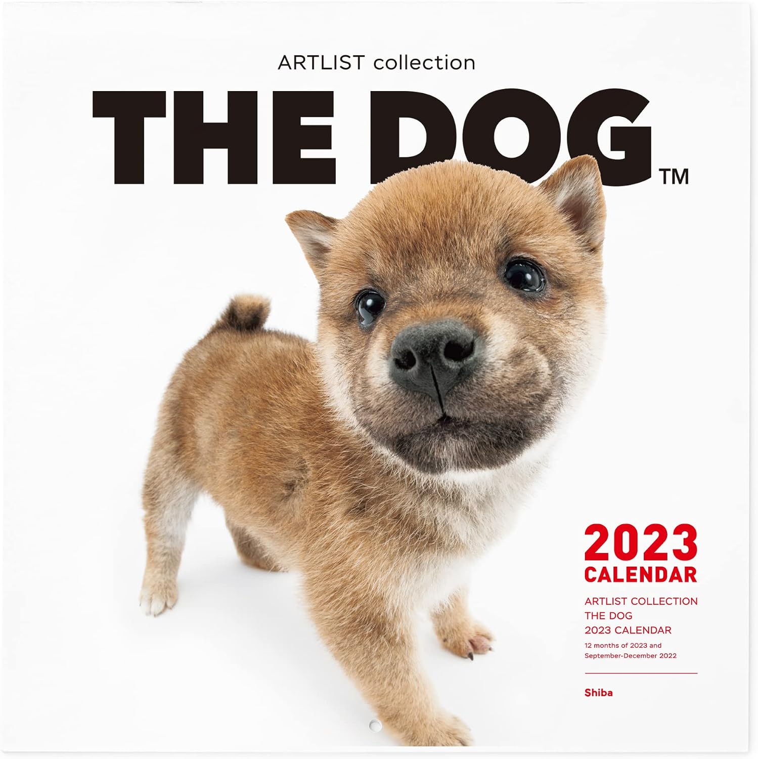 Amazon The Dog カレンダー 23 壁掛け 大判サイズ 柴 犬カレンダー 22年9月 23年12月 手帳 カレンダー 文房具 オフィス用品