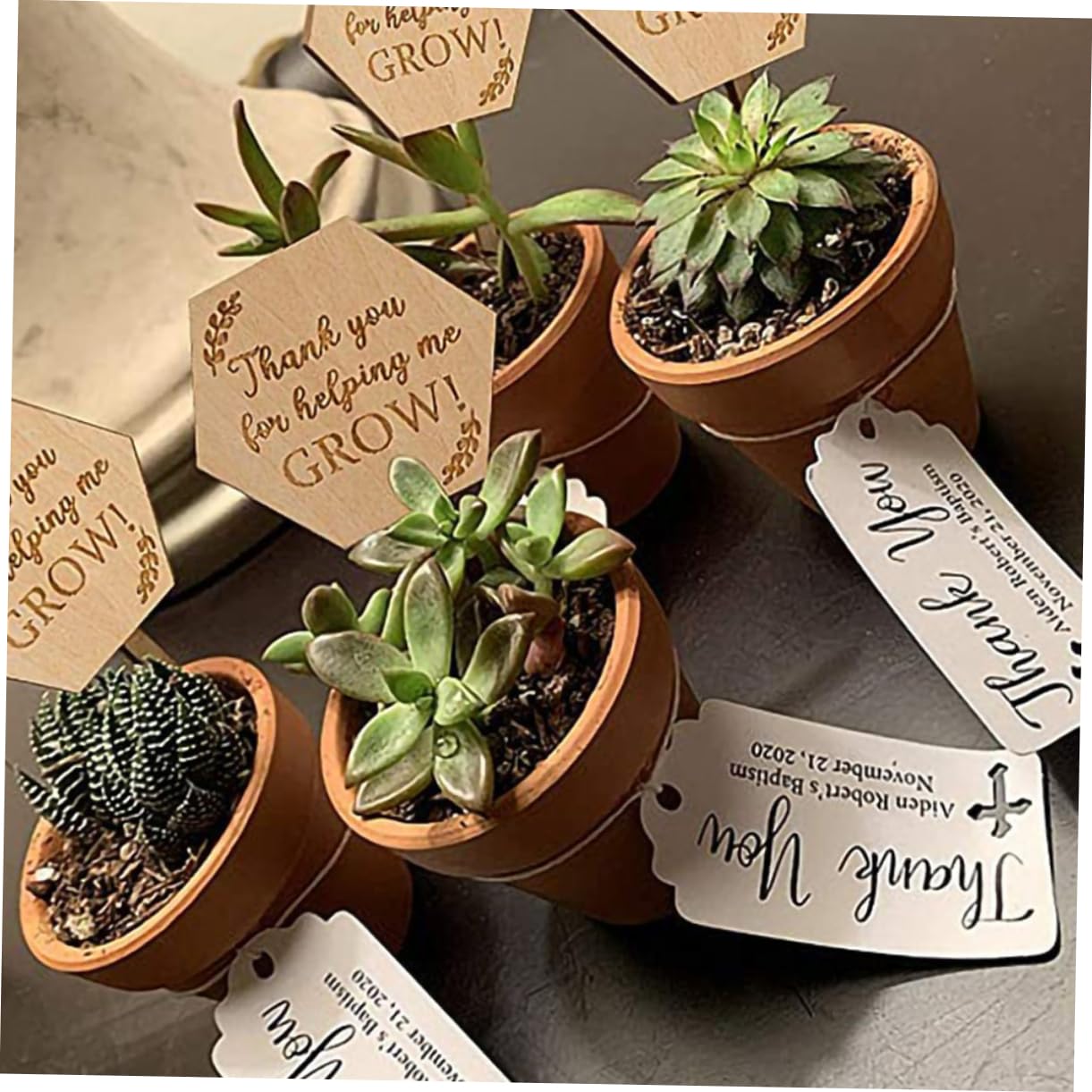 HEMOTON 5 Sätze Holzetikett Gartenmarkierung Hängenden Pflanzenetiketten Etiketten Für Gärtnereien Hinterhof Outdoor- Schild Zum Aufhängen Für Den Garten Blumenanhänger 40 Stück * 5