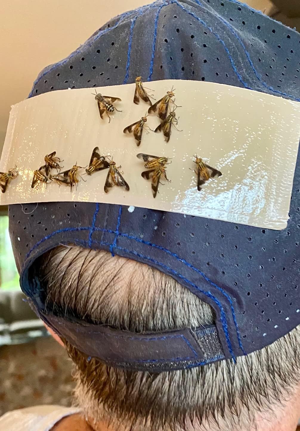 Deerfly Patches/Deer Fly Repellent Patch (40 Pack)