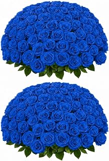 50 PCS Royal Blue Roses