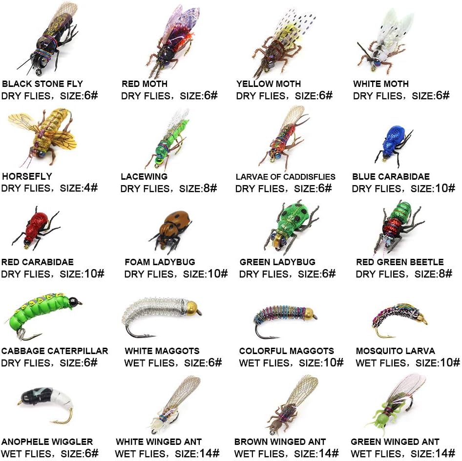 Trout Fly Fishing Flies Collection Dry Wet Nymph Fly Assortment with Fly Box Flyfishing Flys Lures 12/16/18/22/36 Kits