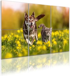6 Pack Art Acoustic Panels couple friends cat dog run merrily summer flowering meadow Sound Absorbing Panel 48"x72" Soundproof Wall Panels Acoustic Wall Art for Studios, Office, Theaters
