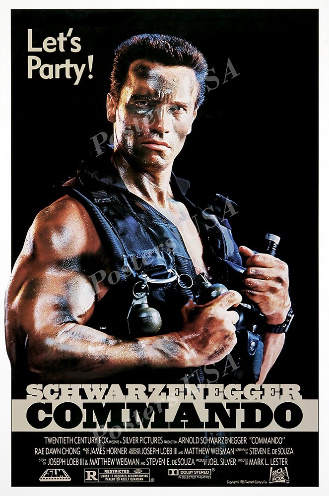 (未使用･未開封品)Arnold Schwarzenegger: Hollywood Hero [DVD] Amazon.com: Arnold Schwarzenegger - Hollywood Hero [DVD