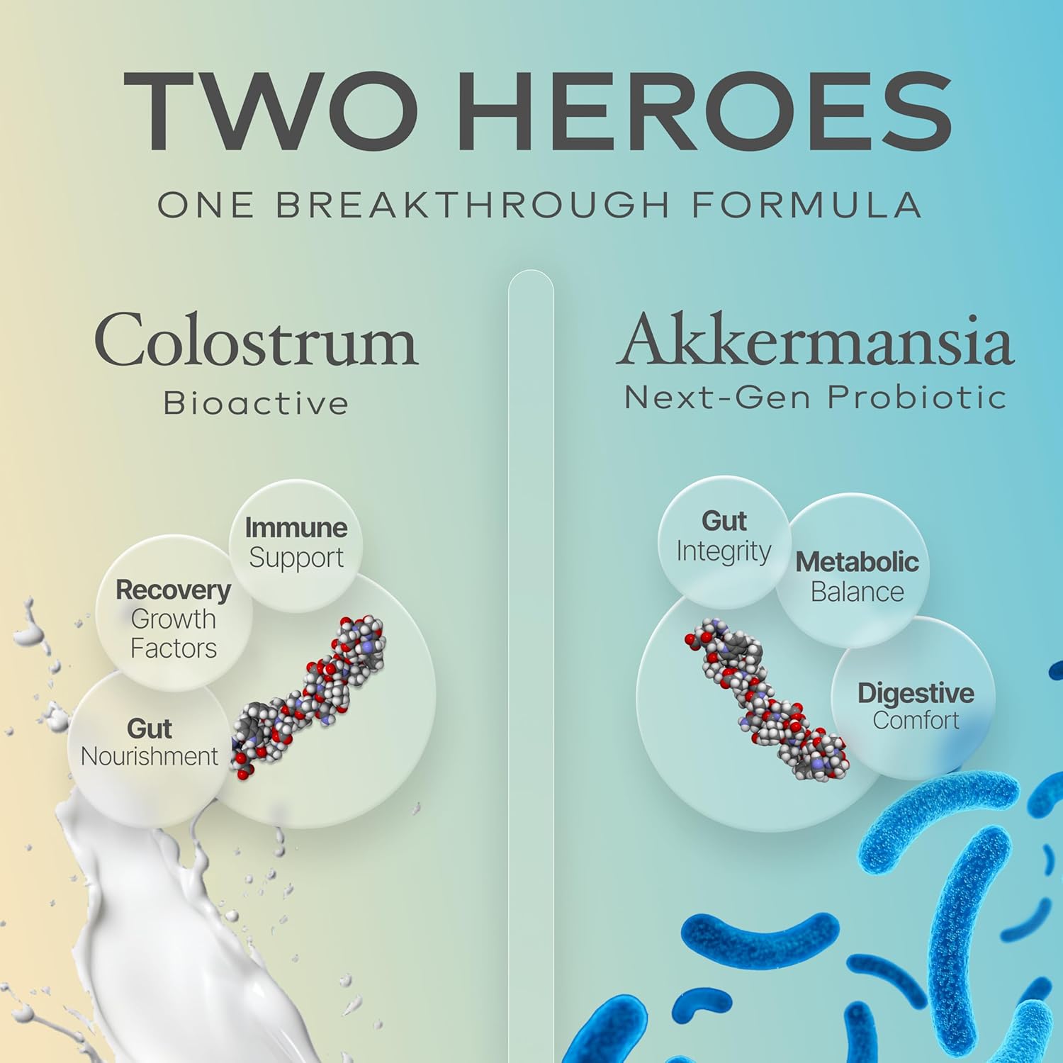 Colostrum Powder | Grass-Fed Bovine Colostrum with Akkermansia Probiotic 1B AFU | Microbiome & Gut Support | High IgG Advanced Formula | 120 Servings - Image 3