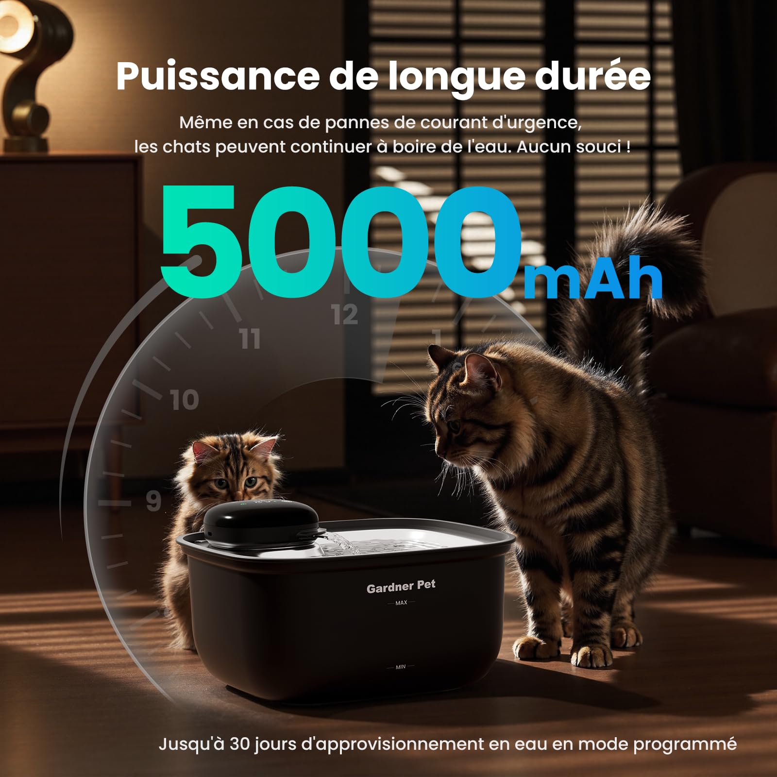 Gardner Pet Fontaine à Eau pour Chat et Chien sans Fil en Acier Inoxydable 3.78L, Distributeur d'eau Automatique à Pile avec Capteur de Mouvement, Affichage de Température et Filtration - Noir