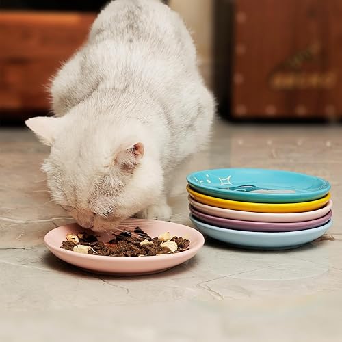 Miniatura 3 de Plato de cerámica poco profundo para gatos de 6 pulgadas, cuencos de comida para gatos sin fatiga, plato ancho y pequeño para gatitos y gatitos,