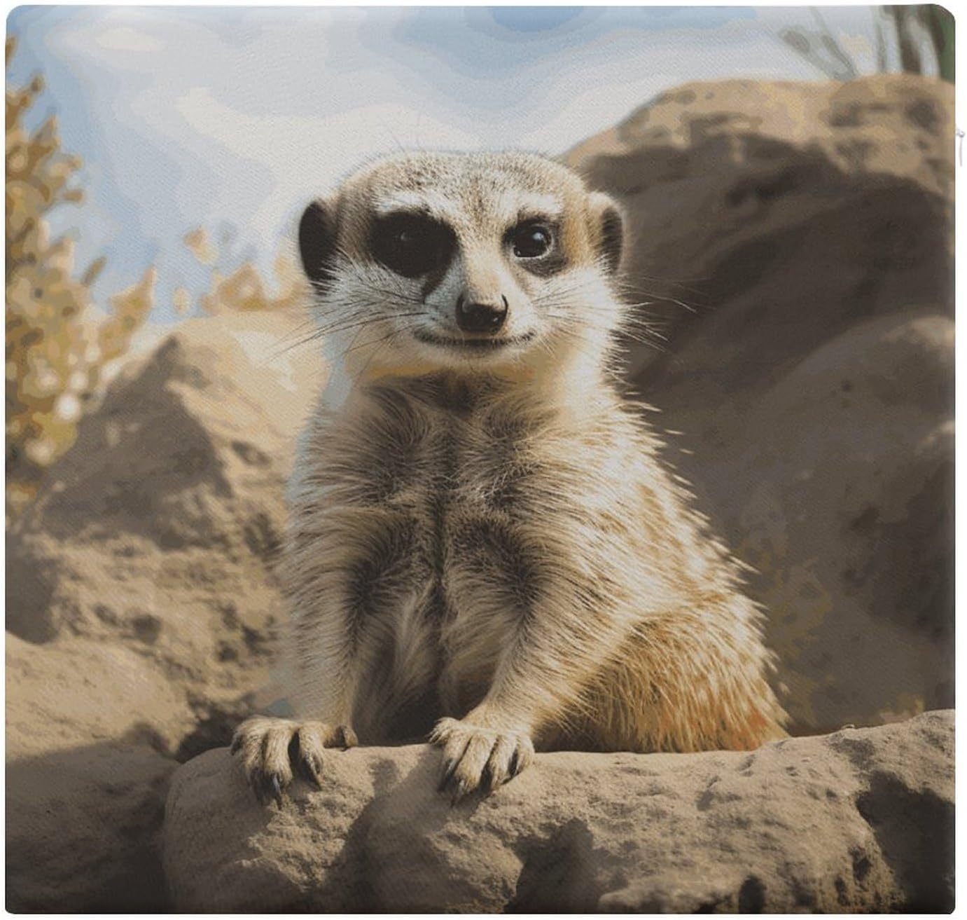 Meerkat Animal Chair Cushion Memory Foam Breathable Chair Pads Square Large Pillows Seating Comfort Meditation Floor Pillow Car Seat Cushion for Indoor/Outdoor Chairs