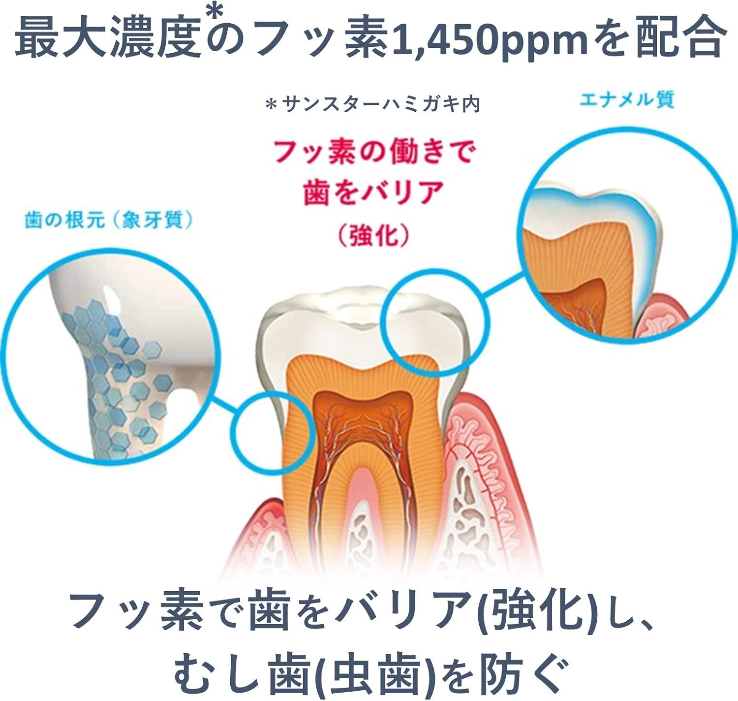 Amazon 医薬部外品 Butler バトラー エフペースト アルファ A 歯みがき メディカルハーブタイプ 90g Butler バトラー ビューティー 通販