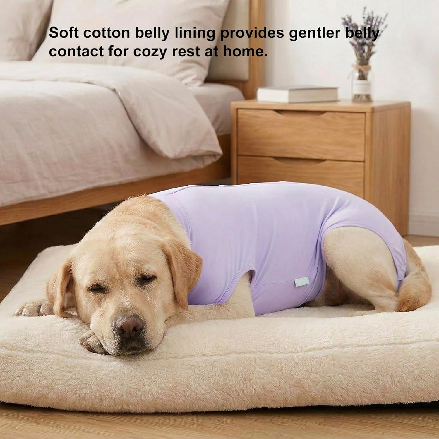 LovinPet Female Dog Recovery Suit for Surgery, Post-Spay Bodysuit with Cushioned Belly Panel, Snap-Back Post-Op Onesie for Large Dogs, Purple, L