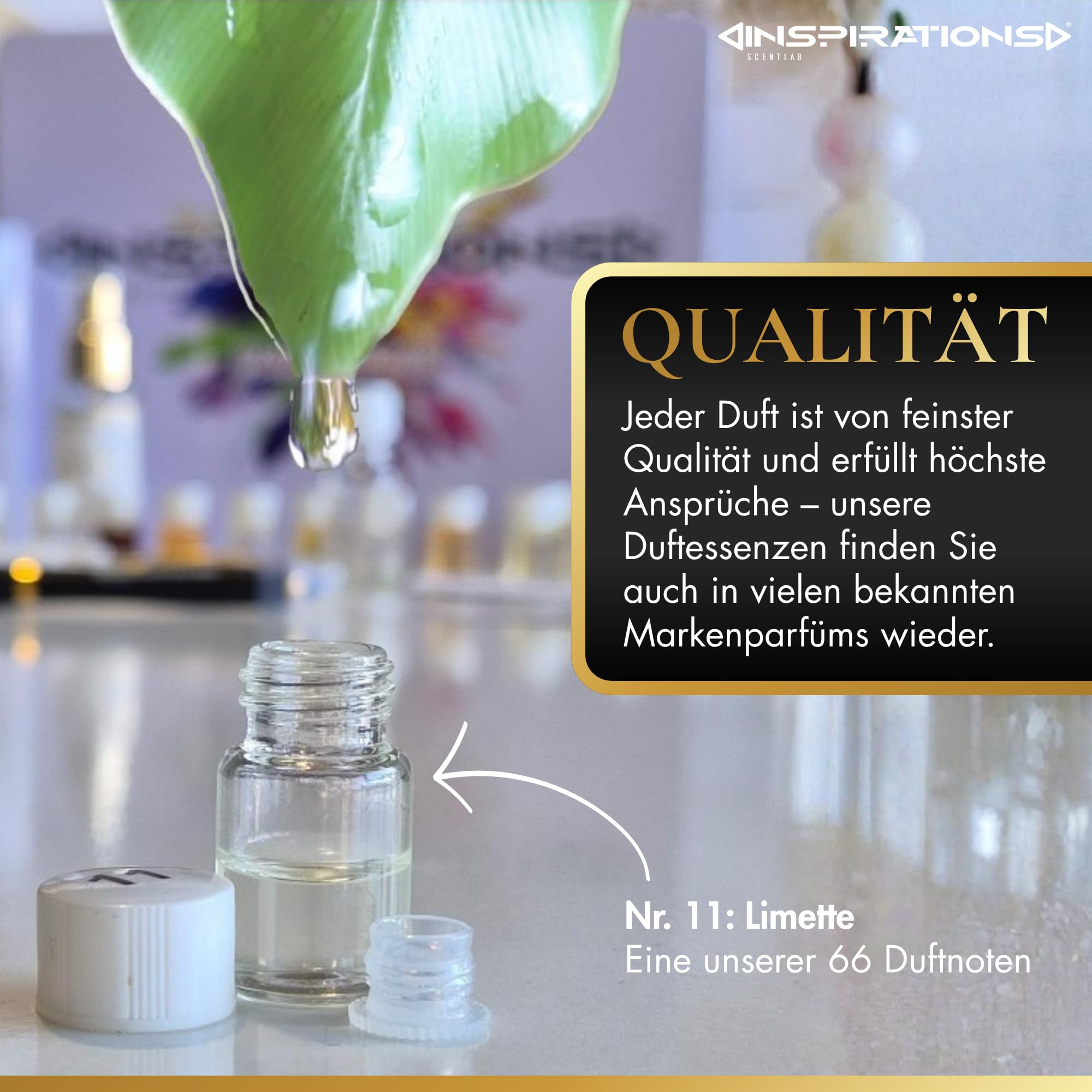 Scentlab Inspirations DIY Parfumbox – Parfüm selber machen Set (Damen und Herren) – 66 Duftessenzen – Geschenkset