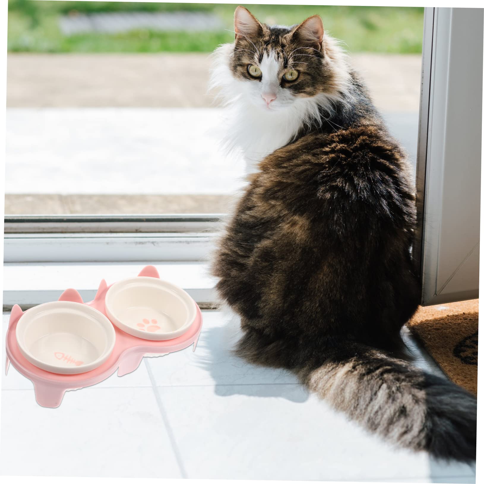 COLLBATH Erhöhter Katzennapf Aus Keramik Haushaltsnapf Mit Ständer Praktisch Für Katzen Und Kätzchen Zum Fressen Und Trinken