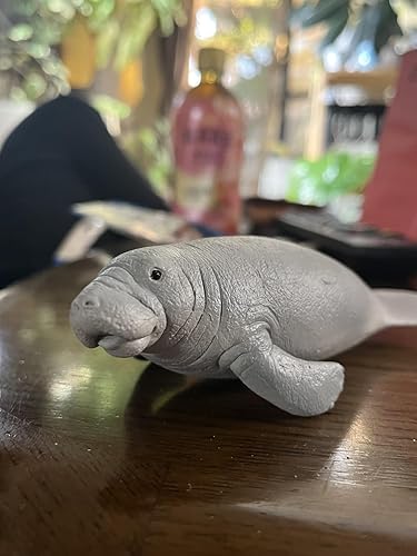 マナティページ Amazon.co.jp: シュライヒ ワイルドライフ マナティー 14839 : おもちゃ