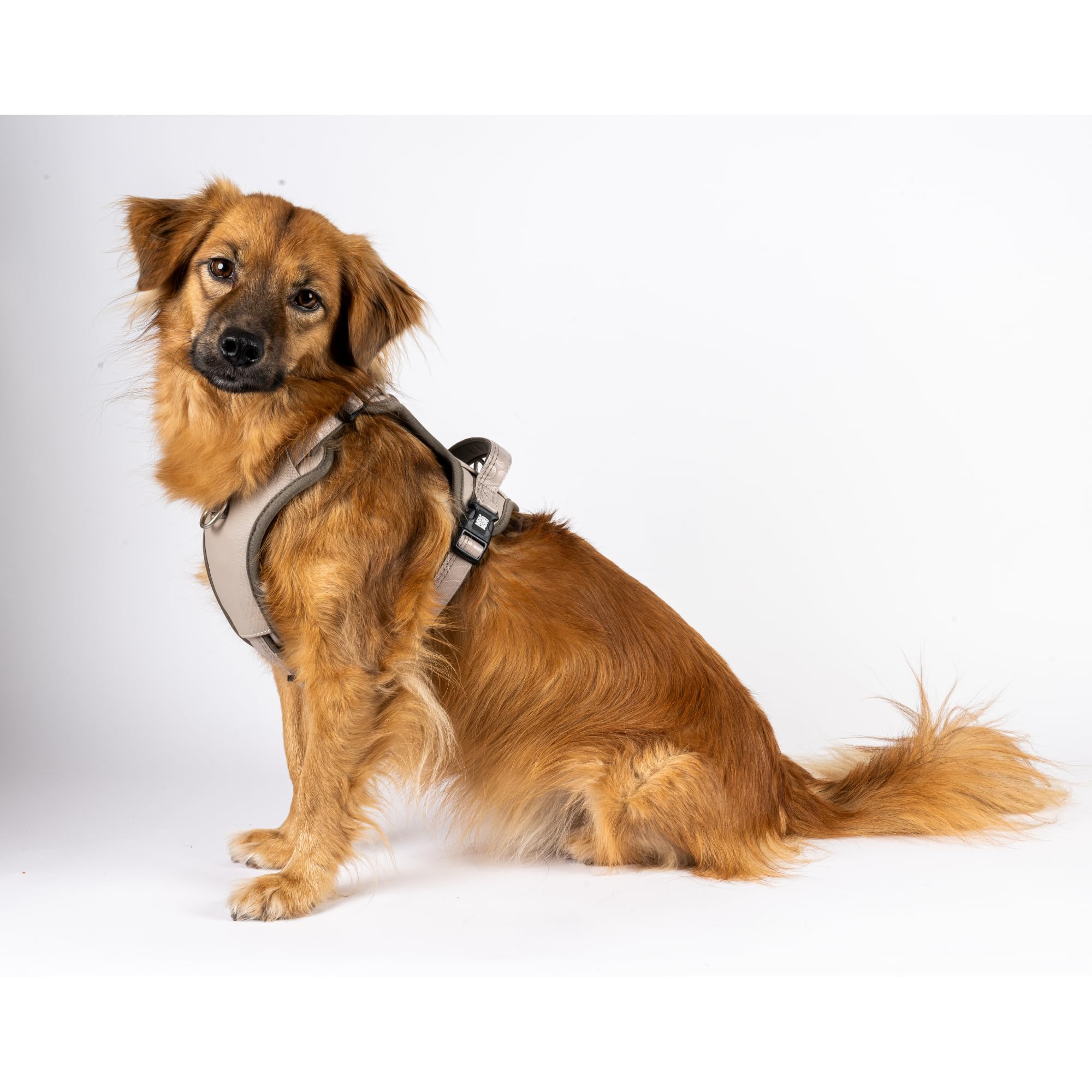 Max & Molly Sport Hundegeschirr Mittelgrosse Hunde mit Gotcha! Smart ID Sicherheitsanhänger, Matrix 2.0 Sand/M, Geschirr Hund Gepolstert & Reflektierend - Komfort für deinen treuen Begleiter