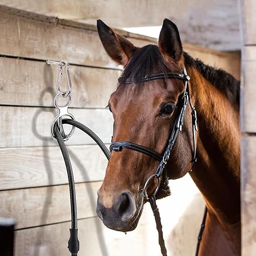 Miniatura 6 de Dunzy 2 juegos de anillos de corbata de caballo, tachuelas y suministros para caballos equipo de entrenamiento de caballos accesorios seguros para