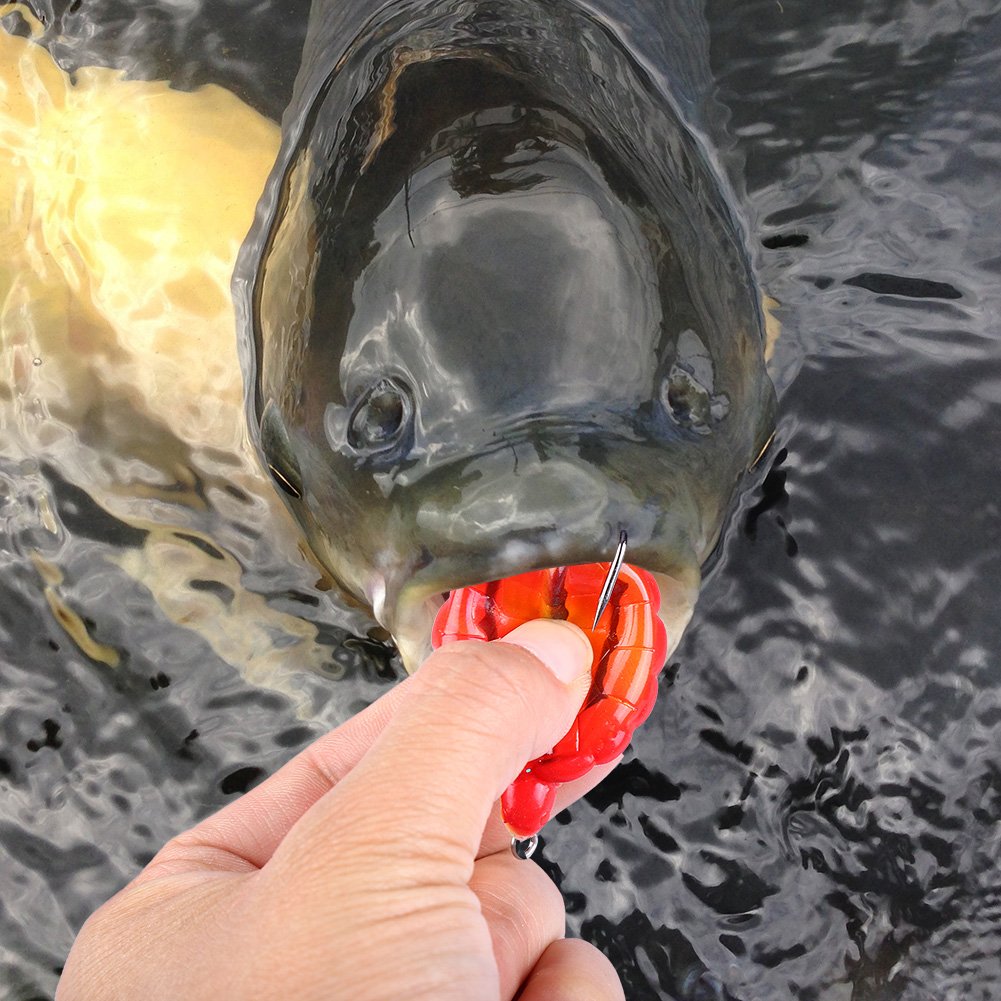 Amazon.com : Turtle Fishing Baits, 5Pcs Artificial Soft Silicone Spoon Lures with Sequins Hook Accessory, Includes Tackle Box : Sports & Outdoors Amazon.com : Turtle Fishing Baits, 5Pcs Artificial Soft Silicone Spoon Lures with Sequins Hook Accessory, Includes Tackle Box : Sports & Outdoors
