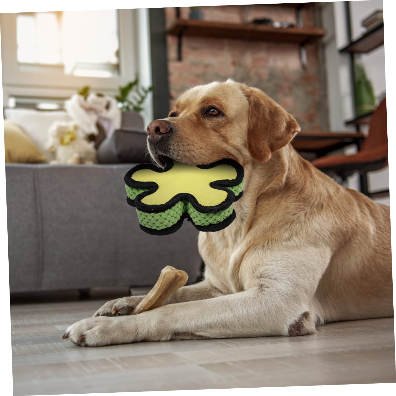Sosoport 2pezzi Giocattolo Da Masticare Per Cani Con Suono Gioco Interattivo Resistente Per Cuccioli e Cani Adulti Per Divertimento e Stimolazione Mentale