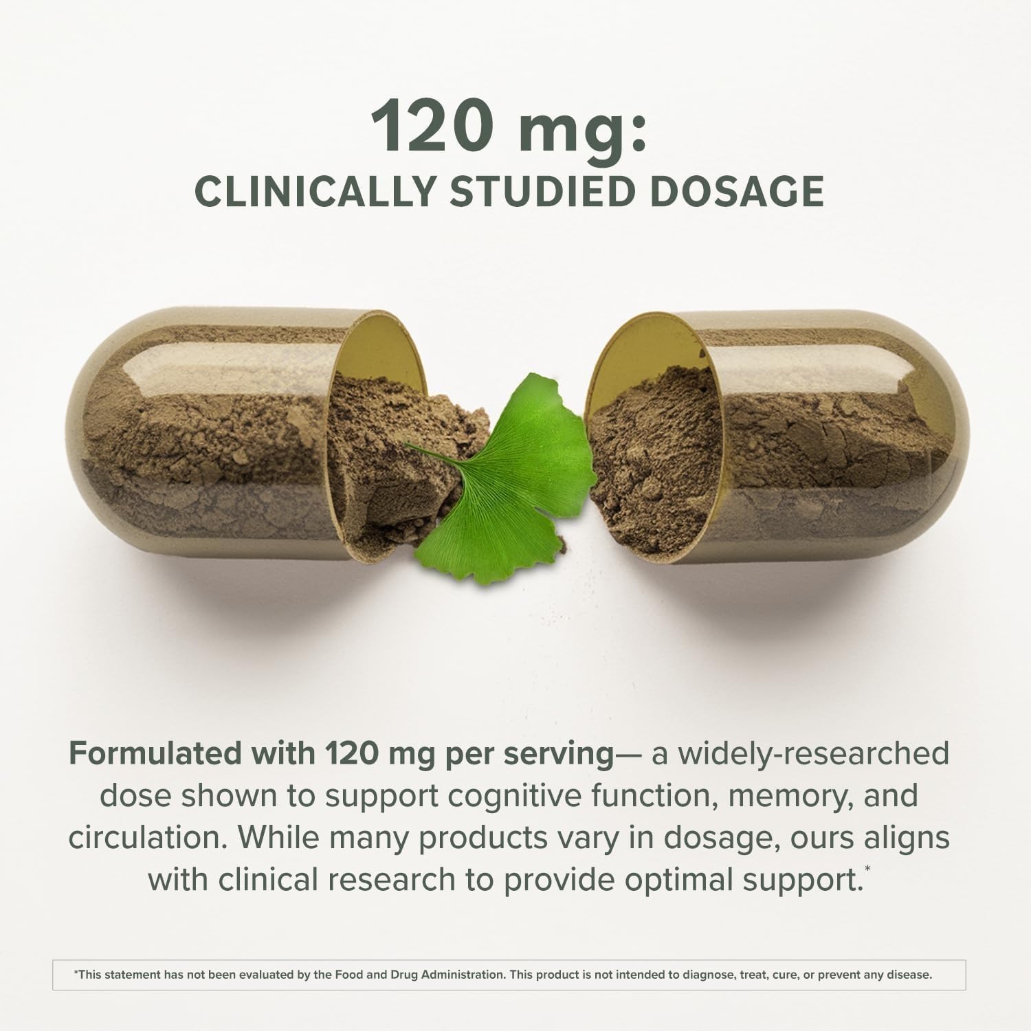 Prominent Nutrition Ginkgo Biloba 120mg - Ginkgo Biloba Leaf Extract, Herbal Supplements to Help Support Memory & Focus- Vegan, Non-GMO, Gluten-Free, Soy-Free, 60 Day Supply - 2 Pack