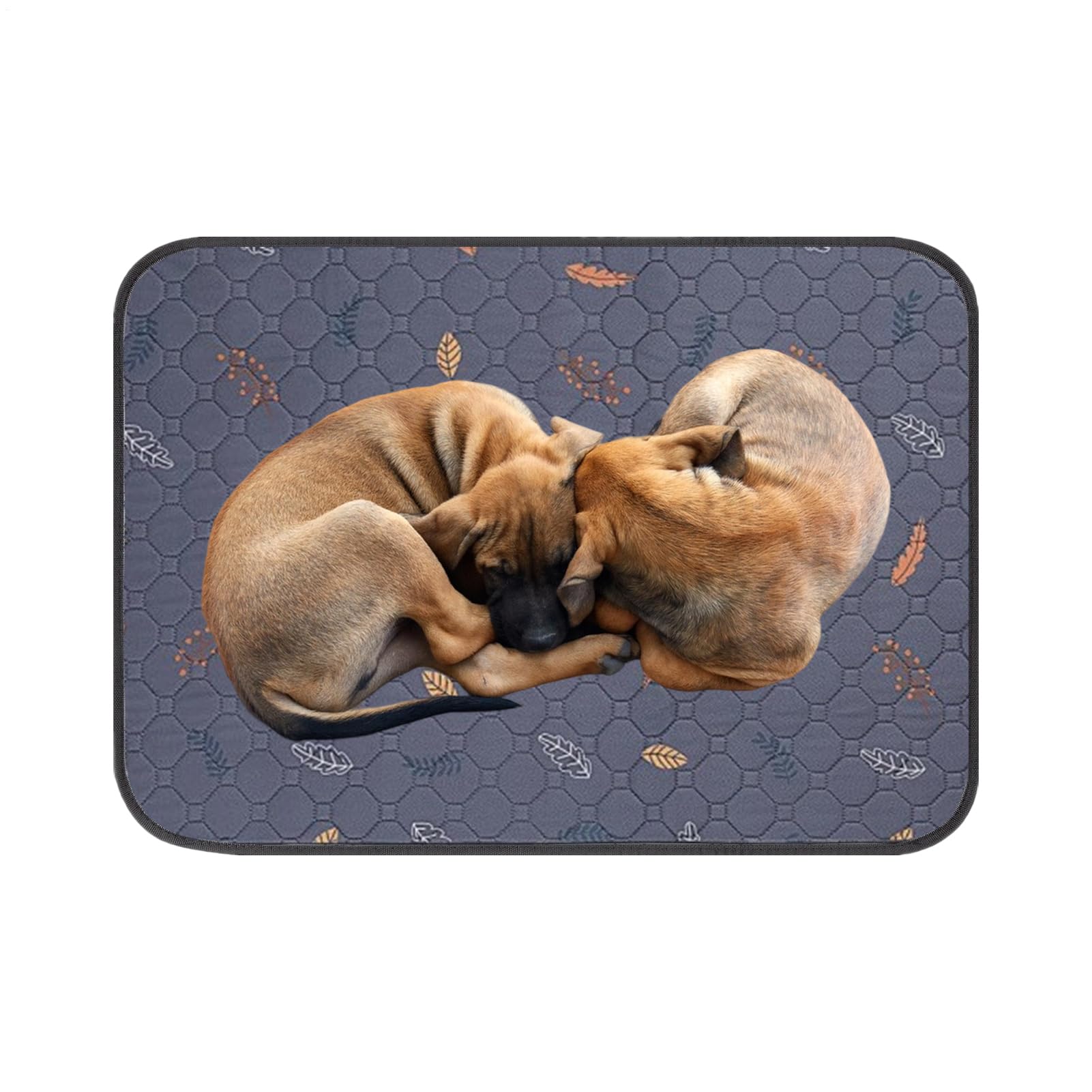 Tapis d'entraînement pour chien lavable et antidérapant pour sol et cage