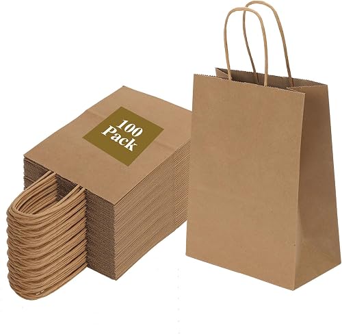 Joybe 100 Pack 6x3.25x8 Inch Small Brown Paper Bags with Handles Bulk, Kraft Paper Gift Bags for Birthday Party Favors Grocery Retail Shopping Business Goody Craft Sacks (Blank Plain Natural, 100pcs)