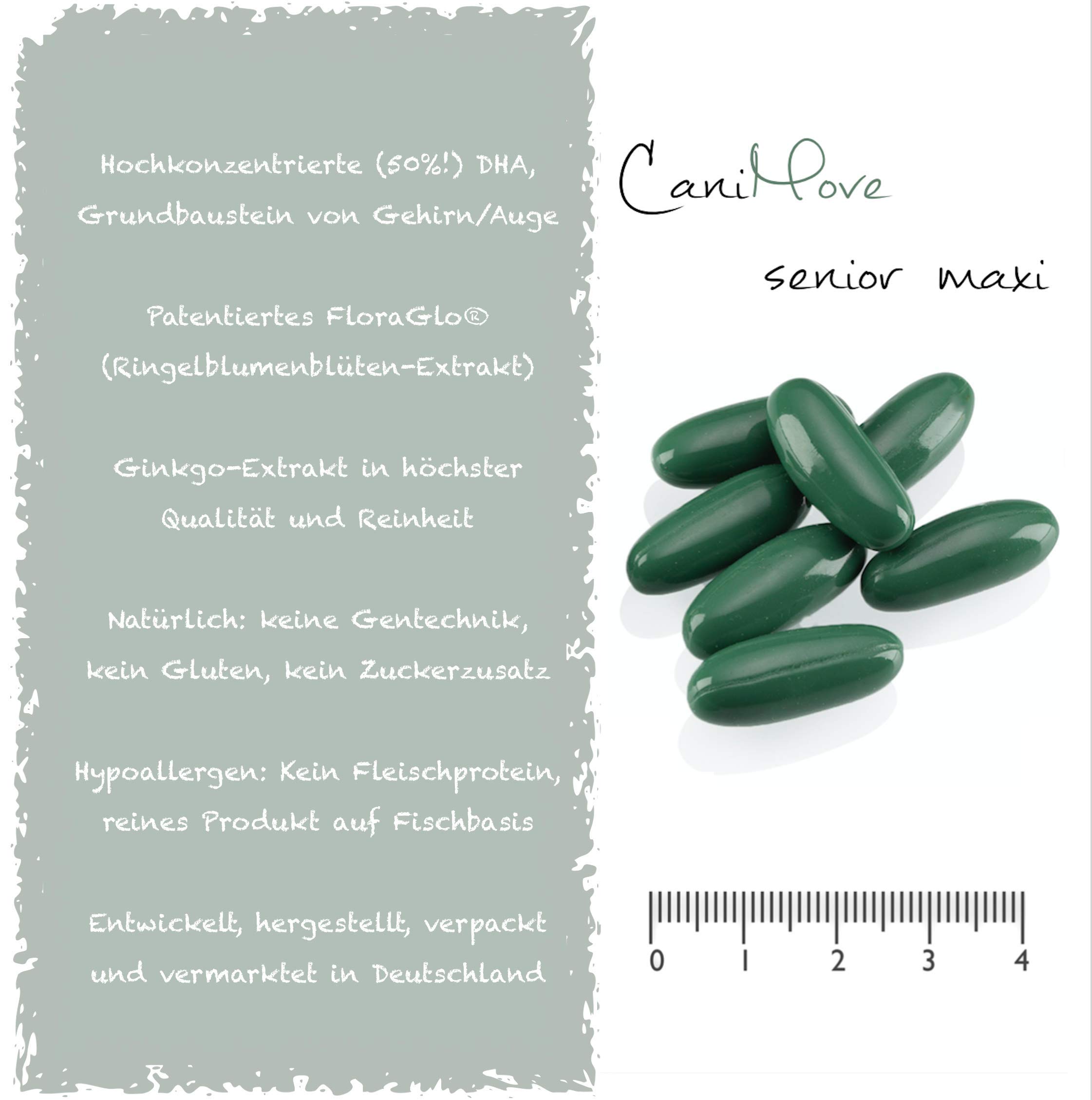 Spar-Bundle Senior + Cardio Maxi - 1 Packung (100 Kapseln) CaniMove Senior Maxi und 1 Packung (100 Kapseln) CaniMove Cardio Maxi - Ideal für ältere Hunde mit Problemen von Herz, Hirn oder Augen.