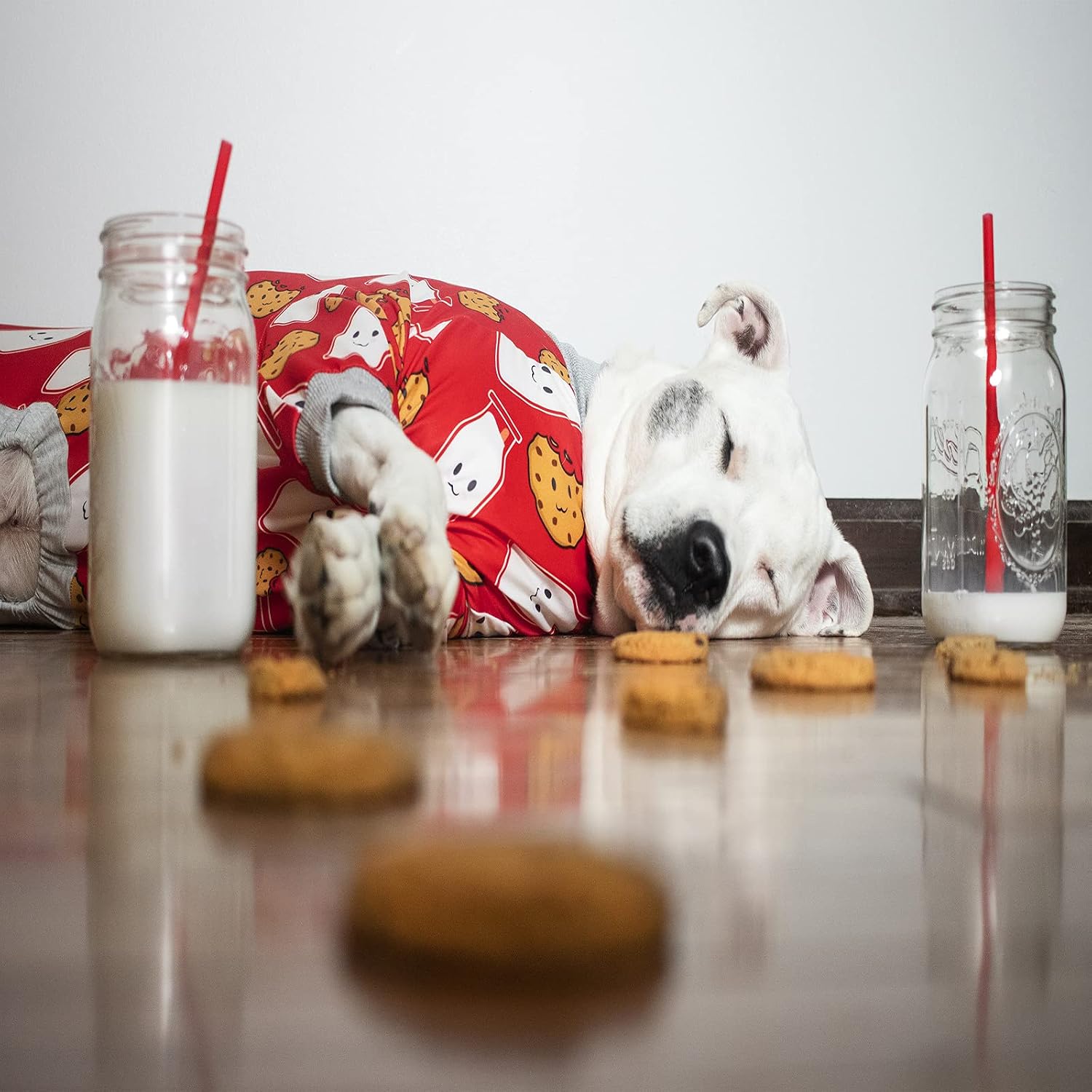 Tooth and Honey Pitbull Pajamas/Red Milk & Cookie Print Onesie/Lightweight Pullover Pajamas/Full Coverage Dog pjs