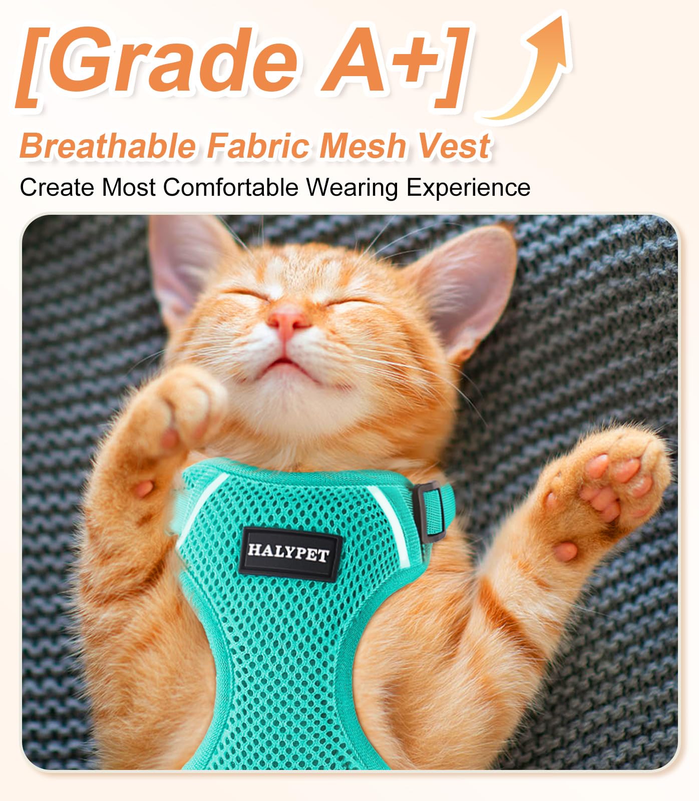 Katzengeschirr Mit Leine Set - Ausbruchsicher & Atmungsaktiv Mit Reflektorstreifen