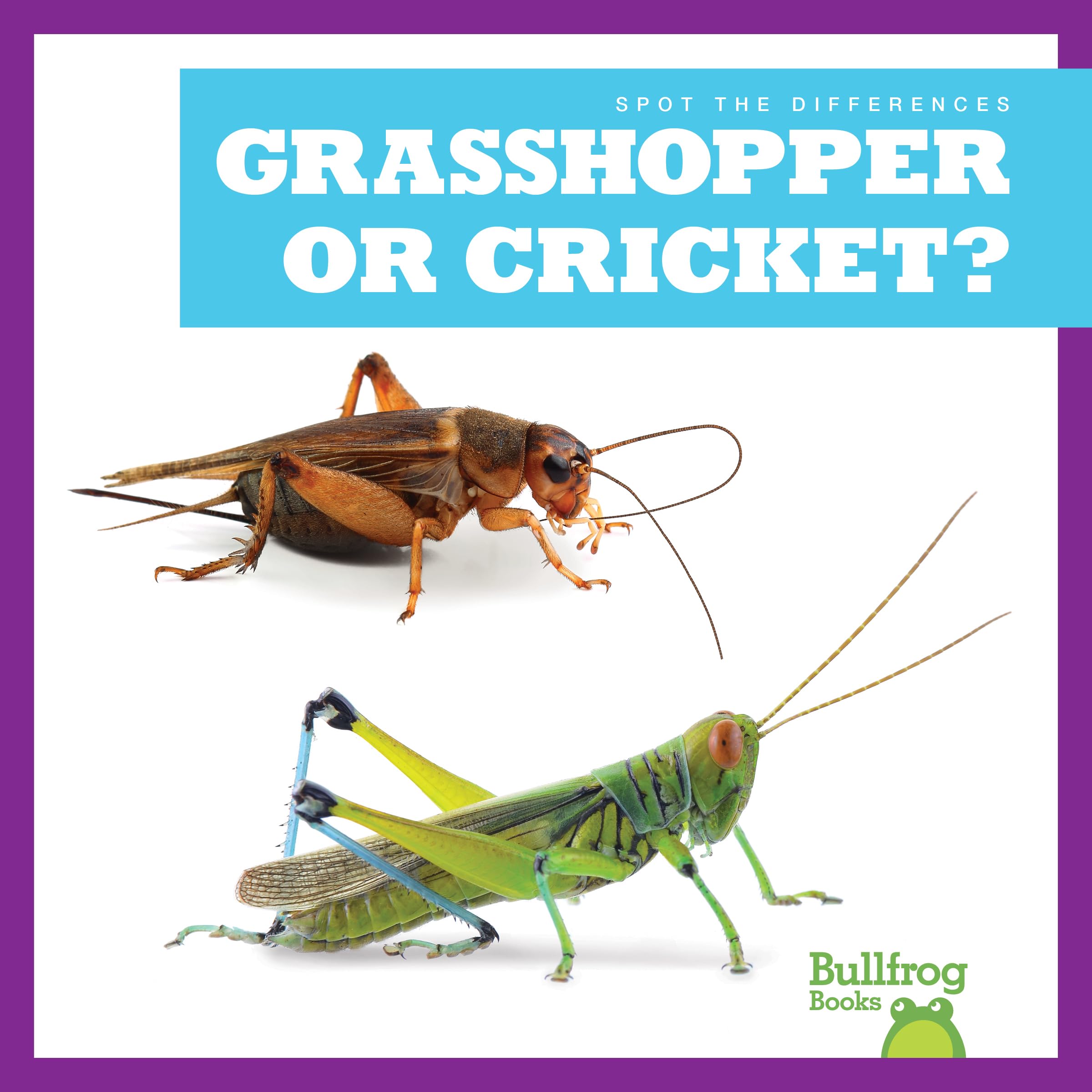 Grasshopper or Cricket?: Rice, Jamie: 9798885241649: Books - Amazon.ca