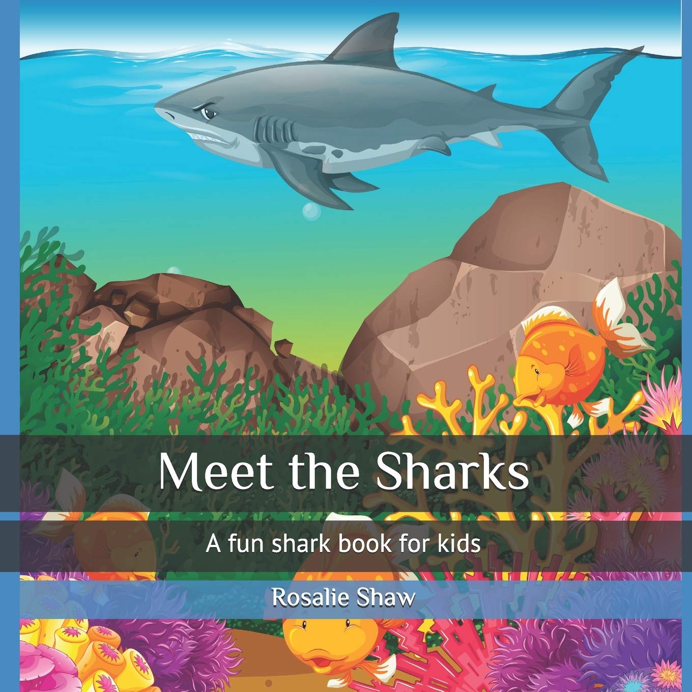 Meet the Sharks: A fun shark book for kids