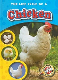 The Life Cycle of a Chicken (Blastoff! Readers: Life Cycles)