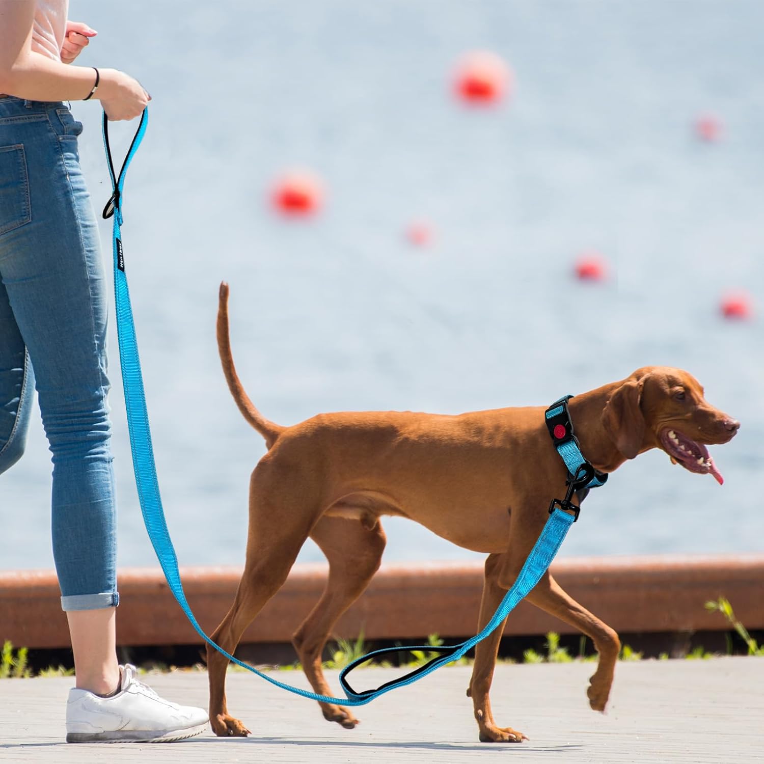 Leash and Collar Set With Nylon Soft Hand Pad, Adjustable Reinforced Collar for Large Dogs, 5FT, Blue Blue Large/5FT image 7 of 7 B0D7PYJ7SP