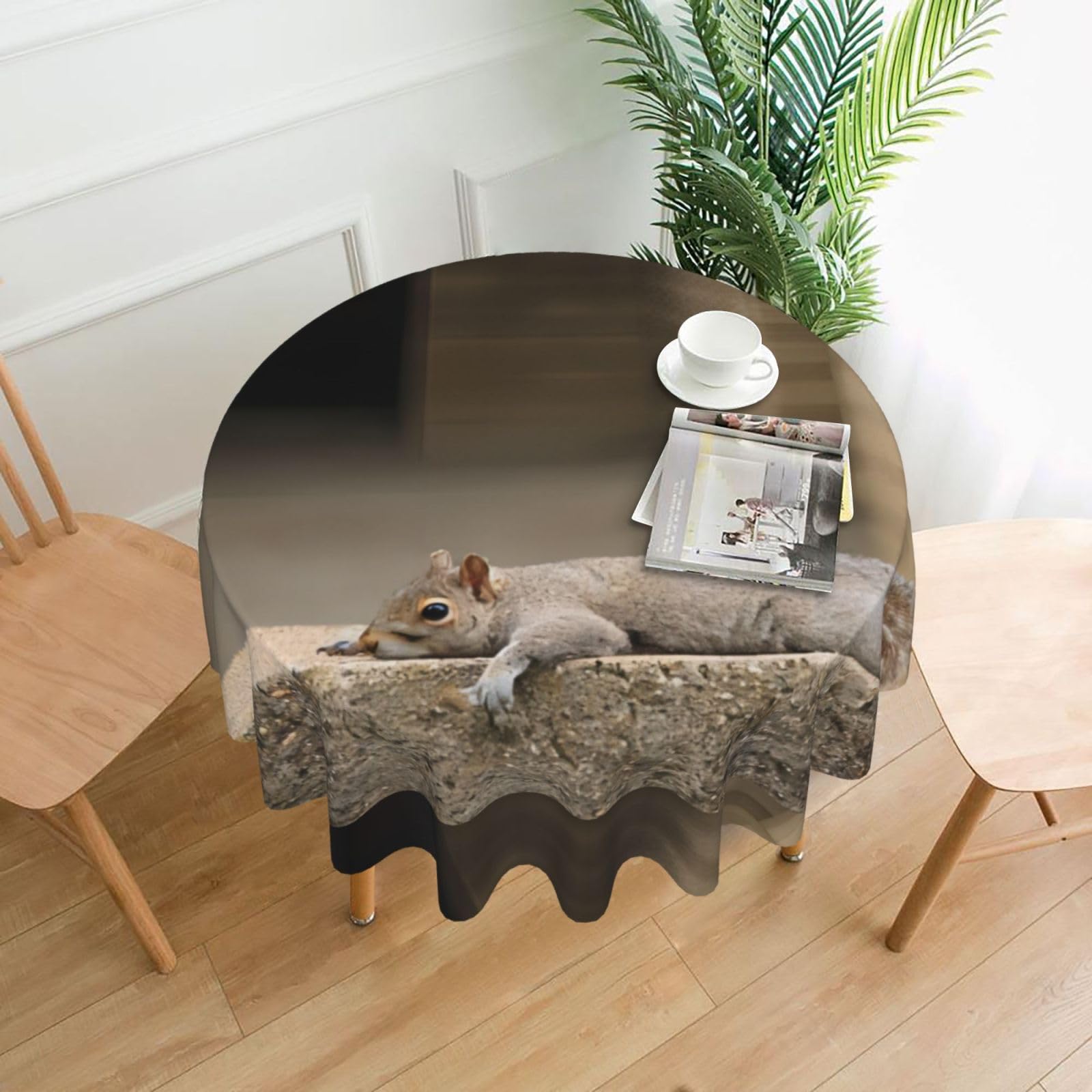WHJSSF Squirrel Just Laying Prints Round Decorative Tablecloth 60in - High-Grade Polyester Table Throw for Dining & Outdoor Parties