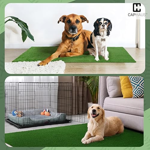Miniatura 8 de Fencer Wire Azulejos de césped artificial con agujeros de drenaje, césped sintético entrelazado para entrenamiento de perros, decoración de suelo