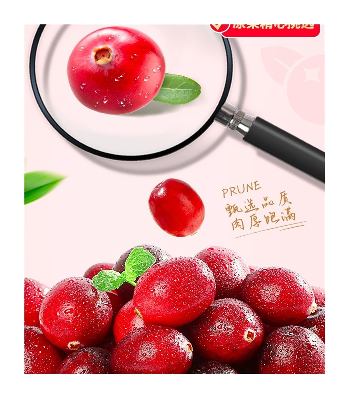 100 g de arándanos secos listos for comer, regordetes y picantes, imprescindibles for conservas de frutas y dulces(4Pcs)