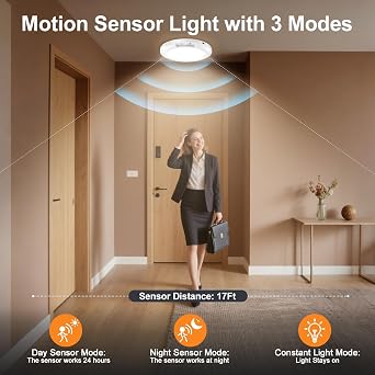 Rechargeable Motion Sensor Ceiling Light Indoor Closet Light with Remote