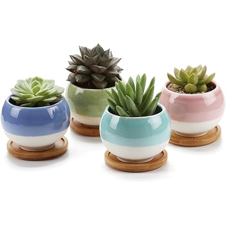Amazon T4u 7 5cm ボール型 多肉植物 サボテン鉢 プランター容器 竹製トレイ付き 4色セット 鉢