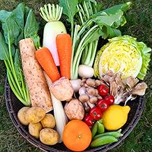 Seasonal Fresh Vegetables and Small Fruits Set - Assorted, Shinshu-Produced, Harvested and Shipped by Farmers, with Fresh Eggs Option (70 Size Vegetables and Small Fruits (Trial/Single Living Use))