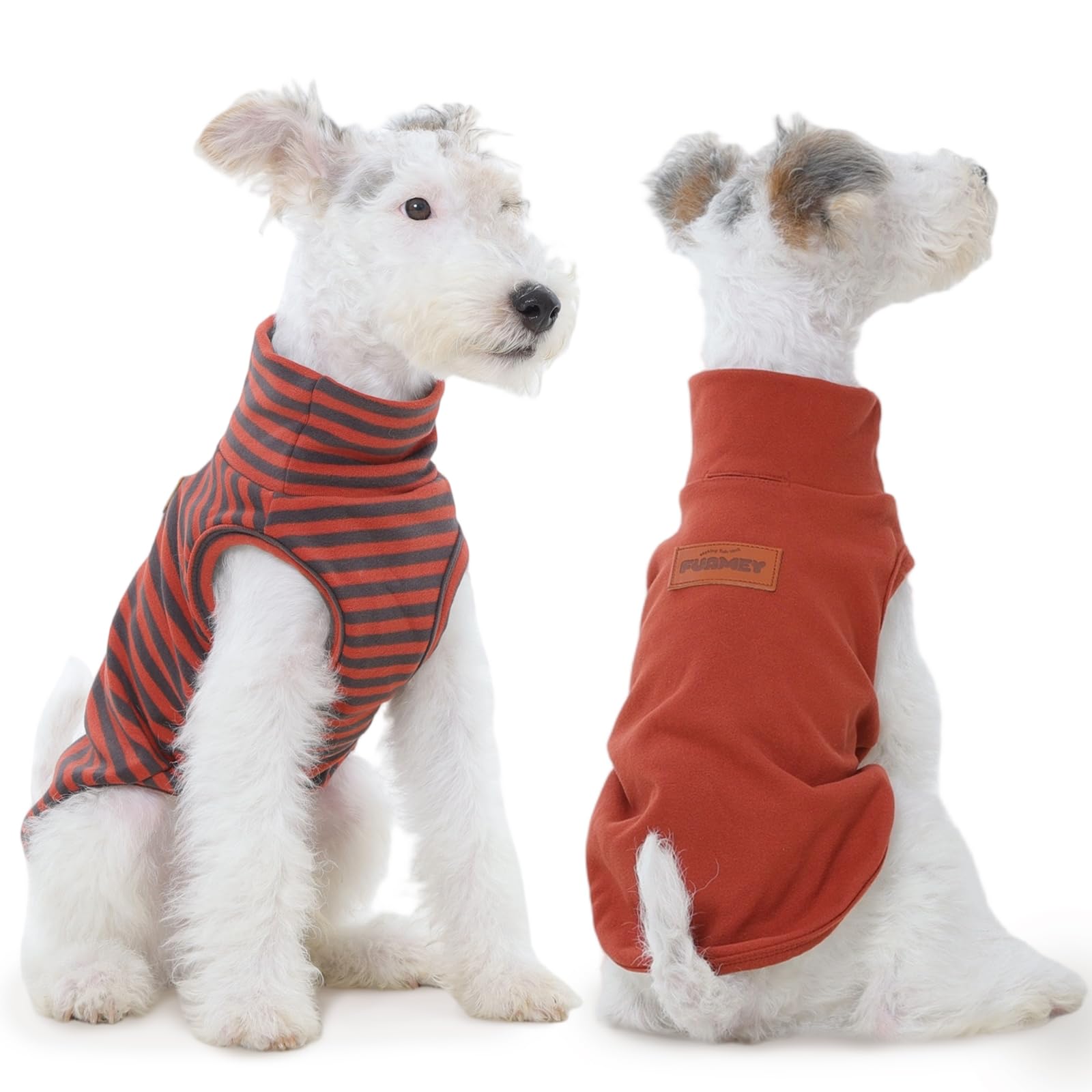 Gilet polaire pour petit chien résout le frisson des chiots en hiver