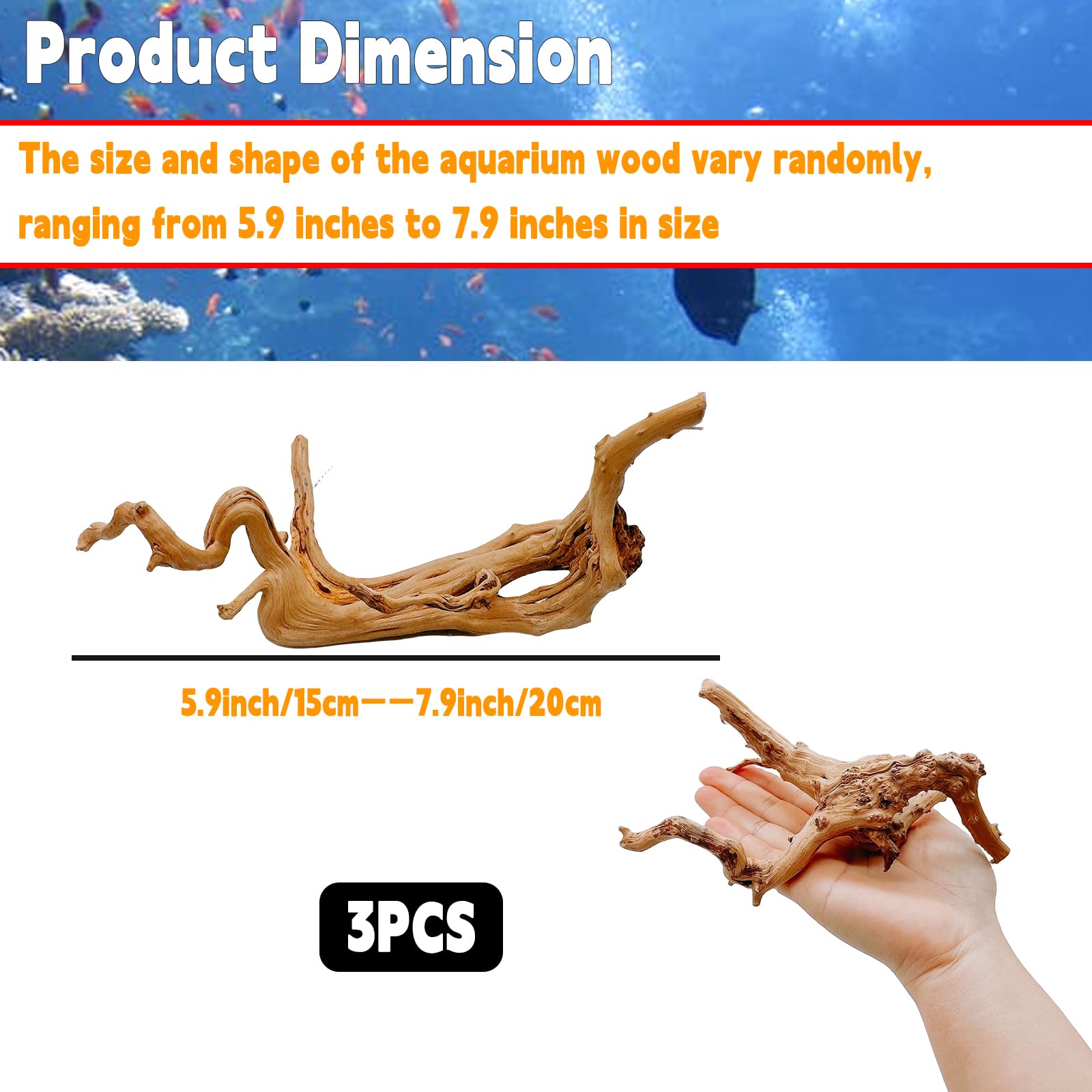 3 pz acquario habitat Driftwood branches Tropical Fish Tank Decor varia misura piccola, （ Fish Tank & Spider & Reptile ）