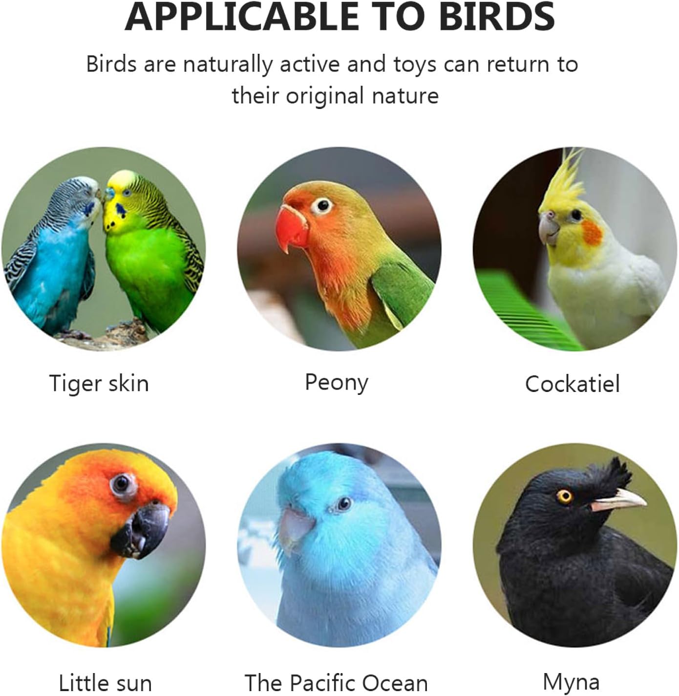 Wakauto Parrot Bath Box Hanging Bird Bath Tube Acrylic Cage No-Leakage Shower Box and Budgerigars