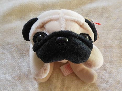 ty pug dog