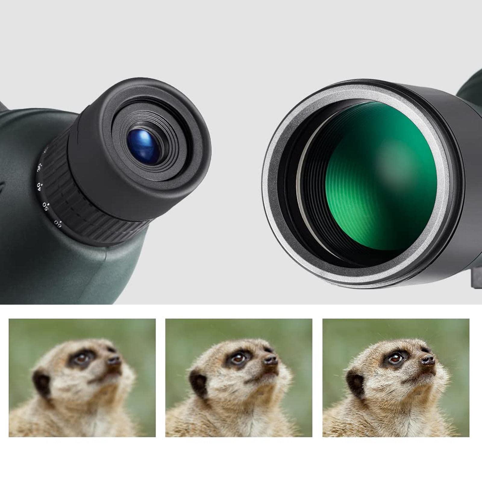Amazon.co.jp: フィールドスコープ 単眼鏡 20-60X60 高倍率ズーム BAK4