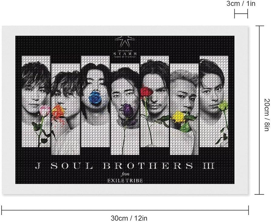 臣＆隆LOVE ダイヤモンドアート 臣＆隆LOVE ダイヤモンドアート 公式