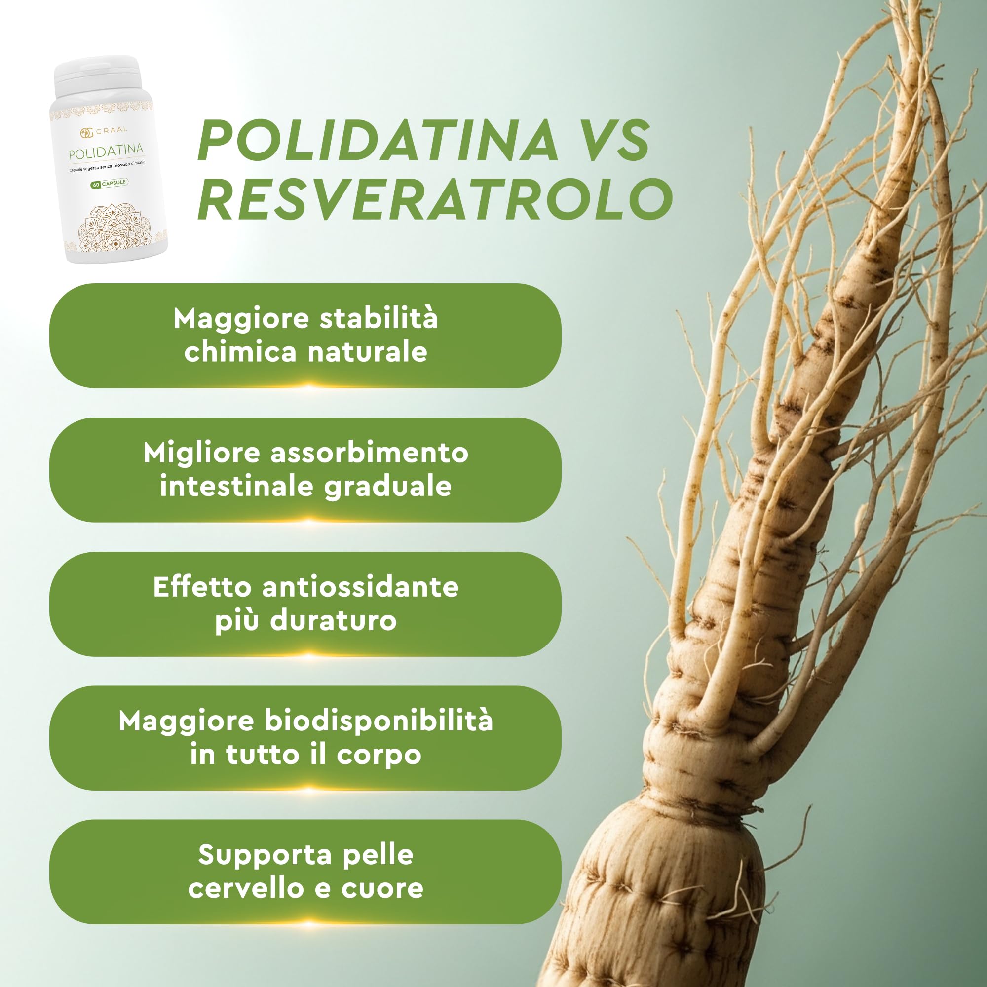 Graal Polidatina Pura 100 mg con Proprietà Antiossidanti - Anti Radicali liberi che stimola la Longevità Cardiovascolare