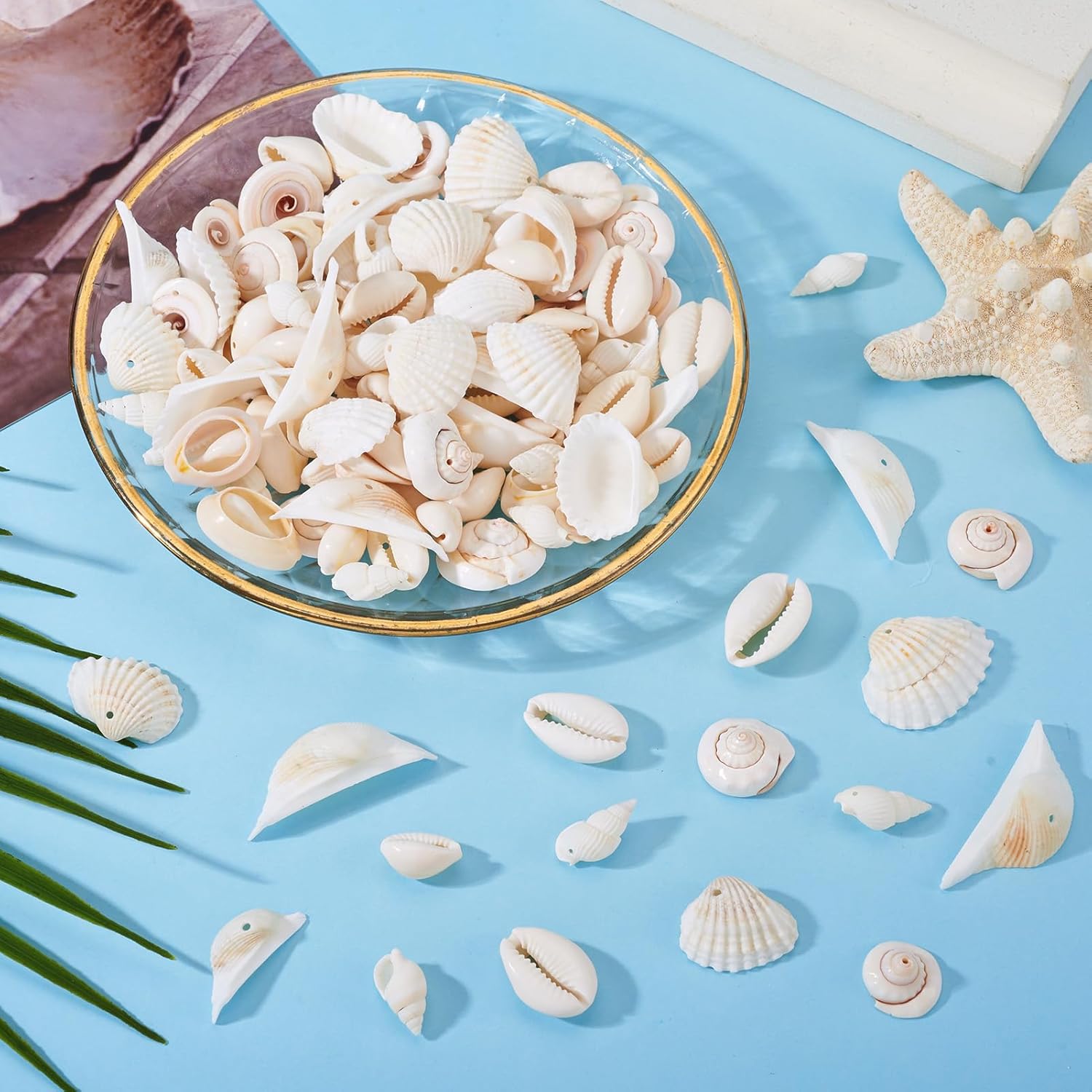 Beadthoven 210pcs White Natural Shell Charm Beads with Hole Assorted Sea Shells Ocean Beach Seashells Charms for Jewelry Making Wind Chime Earrings Bracelet Necklace Vase Filler Summer Home Decor - Image 7